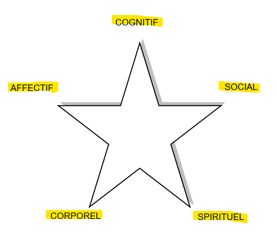 l'étoile de ginger pour illustrer les différentes dimensions de l'etre humain en gestalt-thérapie